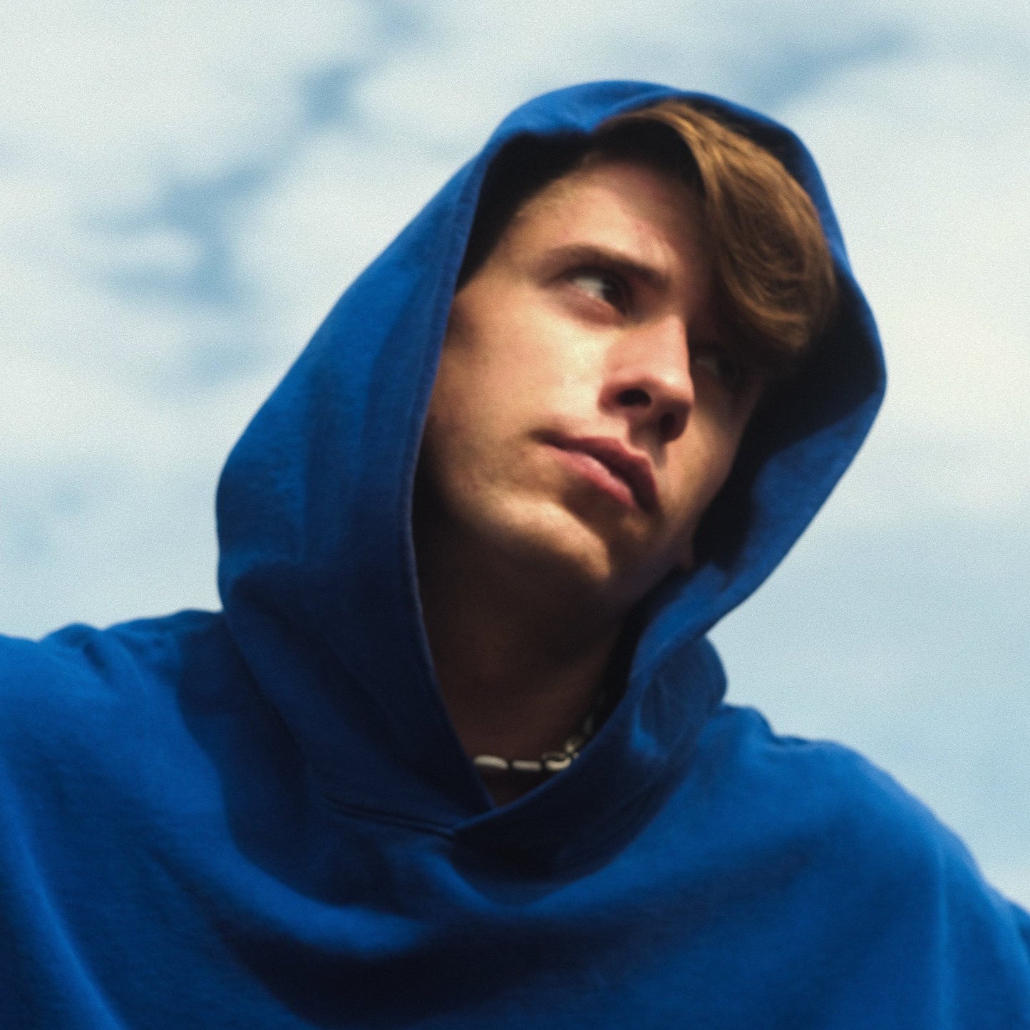 THE COBALT SAVE THE OCEAN HOODIE